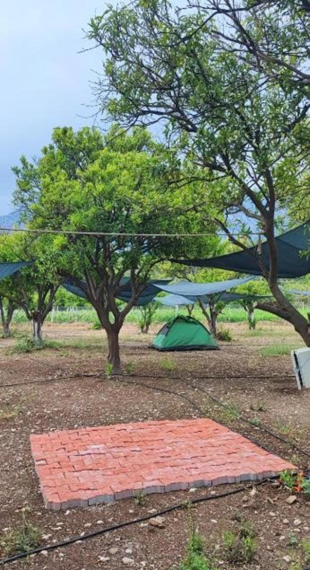 Orange Beach Camp Beldibi  Kamer foto